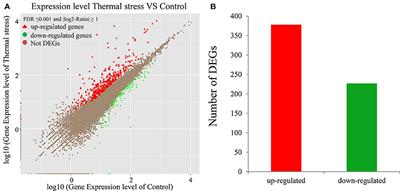 Characterization and Identification of Differentially Expressed Genes Involved in Thermal Adaptation of the Hong Kong Oyster Crassostrea hongkongensis by Digital Gene Expression Profiling